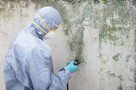 Best Asbestos and Lead Testing During Mold Inspection  in Valdosta, GA